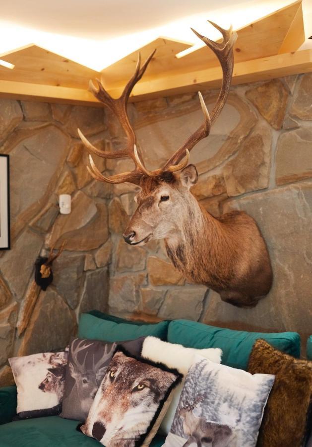 Witkowka Wild Luxury Apartments - Sauna & Spa X Adults Only Witow  Luaran gambar